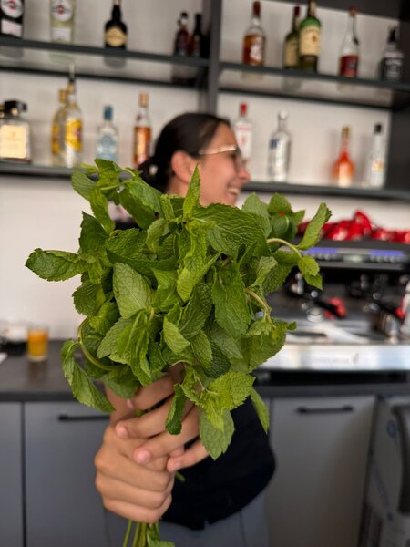 Ospatar sau  barman - fata sau baiat - in Afi Mall Cotroceni,
